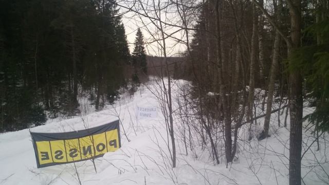 Ралли Карелия Северный Лес 2019 смотреть онлайн