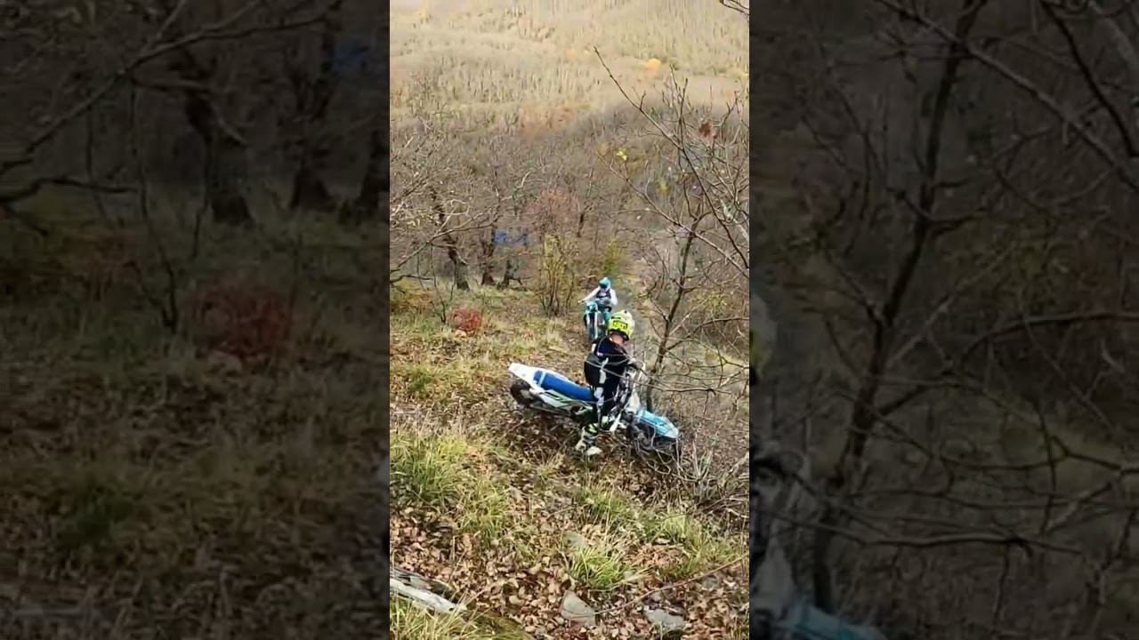 11 января 2023 г. смотреть онлайн