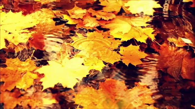 Красивая музыка -классика в современой обработке смотреть онлайн