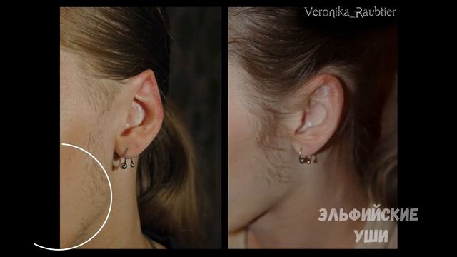 Топ 10 модификаций тела от Veronika Raubtier смотреть онлайн