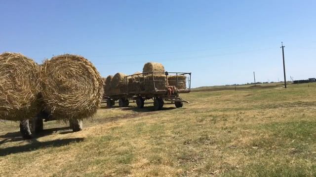 Заготовку сена не даёт жара 45 градусов смотреть онлайн