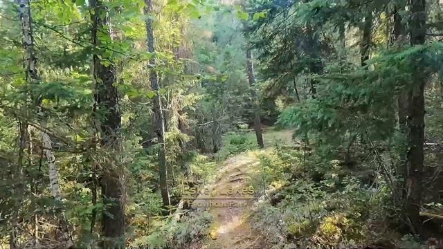 Tamarak Trail Official Video - Location Inspirations смотреть онлайн