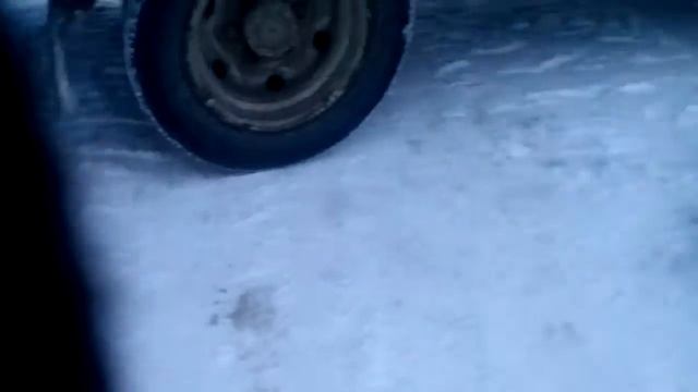 собачка барсук прикольная смотреть онлайн