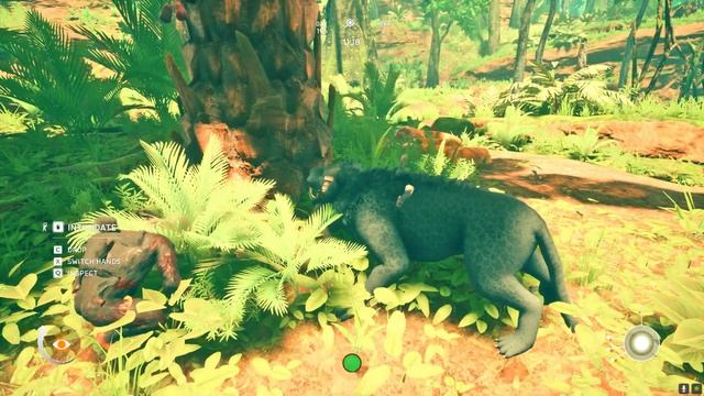 Black Lion Glitches After Kill Rock African Rock Python смотреть онлайн