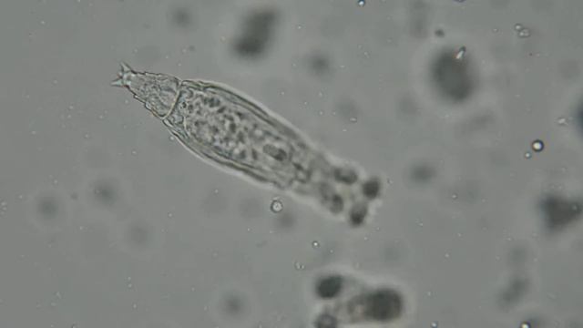 Ахромат 40 смотреть онлайн