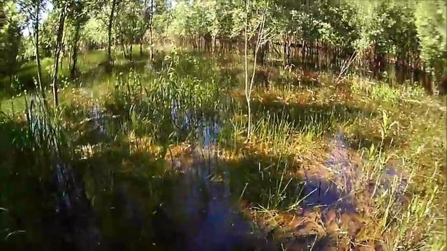 с. Средний Васюган 25.06.2019. Боковой кивок... смотреть онлайн