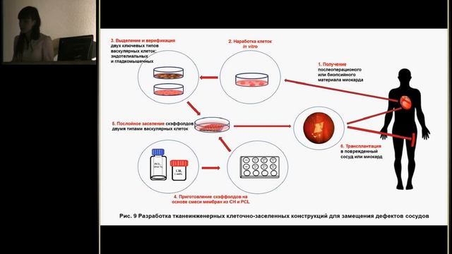МНСК 2016. Секция цитологии и генетики смотреть онлайн