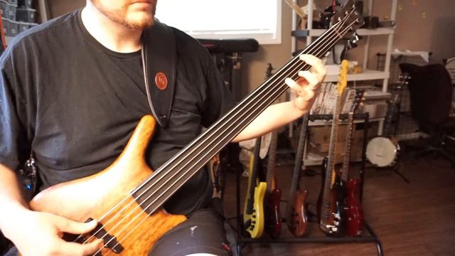 Warwick Thumb fretless Zombiotch bass play-through смотреть онлайн