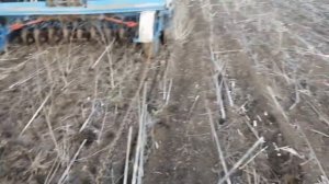 Прямой посев ячменя и гороха   сезон посева яровых в 2021 году открыт 8 ка 02 04 2021