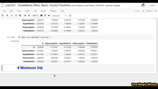 How to use Count() , Min() , Max() , Corr() Functions ???| Data analysis | python | One Magic Minut смотреть онлайн