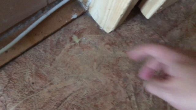 Робот-пылесос ILIVE V50. Robot Vacuum Cleaner ILIFE V50. Первое включение.