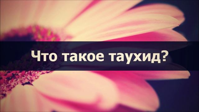 Что такое таухид Абу Яхья смотреть онлайн