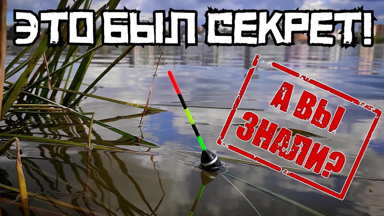 РАСКРЫТА ТАЙНА ОСЕНИ! Как поймать много рыбы на поплавок? ПОКАЗЫВАЮ! смотреть онлайн