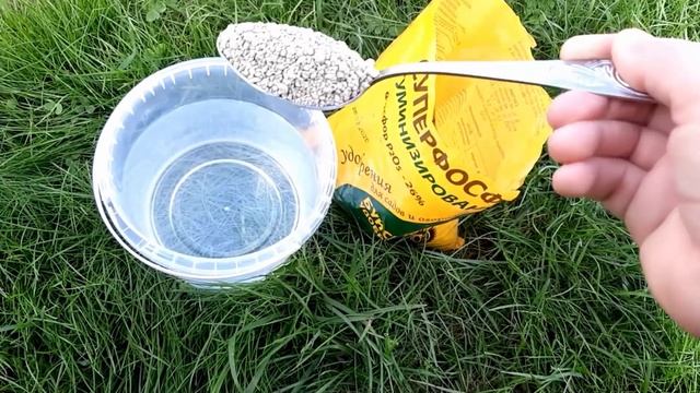 Пора Смородина ждет Подкормка смородины во время цветения смотреть онлайн