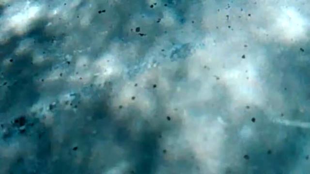 Under the sea (на Кайманах со скатами) смотреть онлайн