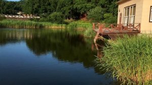 РОДИТЕЛИ НА ОТДЫХЕ В АНДРЕЕВКЕ / ПРИМОРСКИЙ КРАЙ / ВЛАДИВОСТОК #отдых #владивосток