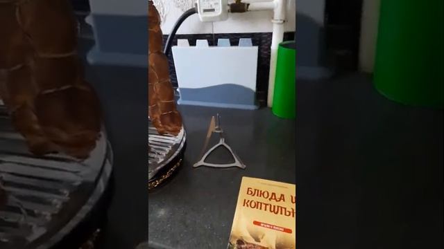 Коптильня домашняя Ханхи (Hanhi), 20л - отзыв покупателя смотреть онлайн