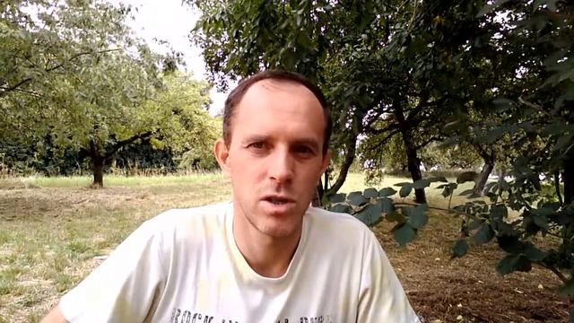 Перехд на фрукты 2 день. Как держать себя в тонусе. Фруктоедение. Нет сил усталость сонливость? смотреть онлайн