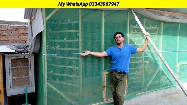 How To Treat Dehydrated Java Birds | How To Save Birds From Heart Attack | Java Finch Cargo Deliver смотреть онлайн