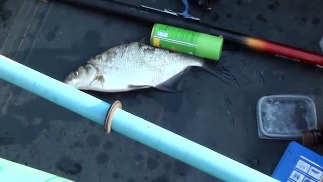 Зарисовки о рыбалке смотреть онлайн