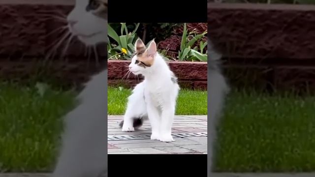 Работа, работа, перейди на идиота. #юмор