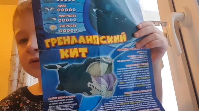 Морские гиганты и ко макси. Гренландский кит смотреть онлайн