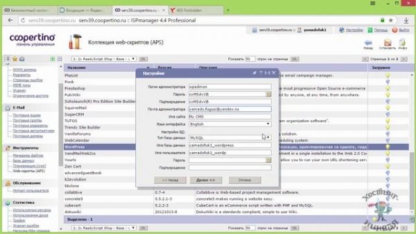 Хостинг Coopertino.ru. Как установить Wordpress.