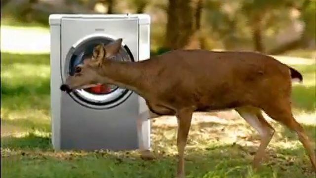 Bosch Deer смотреть онлайн