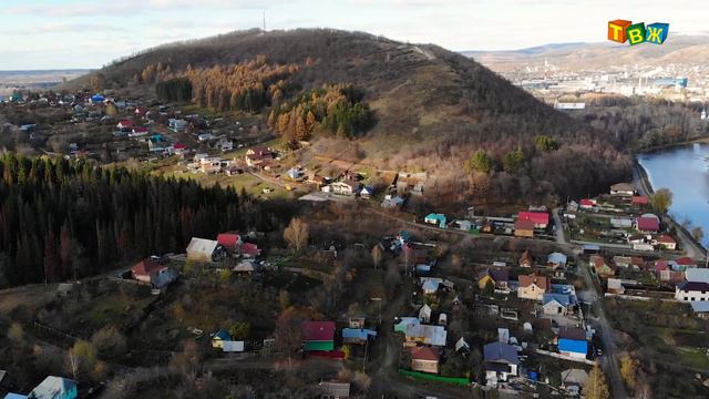 Тротуар, корова, лес . смотреть онлайн