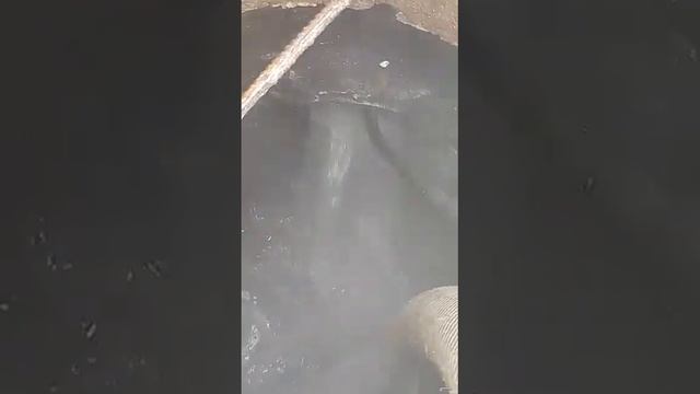 вот это давление:) смотреть онлайн