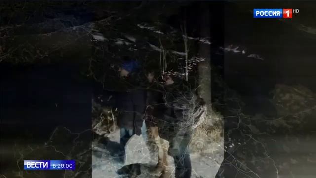 "Куда ты завел нас, не видно ни зги, идите за мной, не е... те мозги." смотреть онлайн