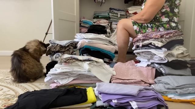 УЖАС! ШКАФЫ ВСЕ ЗАВАЛЕНЫ ОДЕЖДОЙ! А надеть НЕЧЕГО! смотреть онлайн