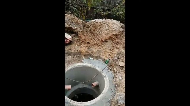 Строительство питомника для собак