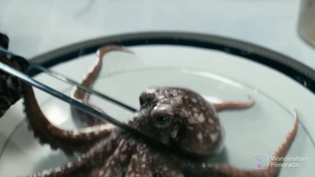 Хоумлендер заставляет Подводного съесть осьминога | Пацаны | Перевод смотреть онлайн