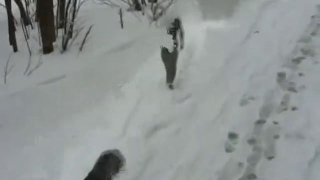 Снегопад в Челябинске, 25 апреля смотреть онлайн