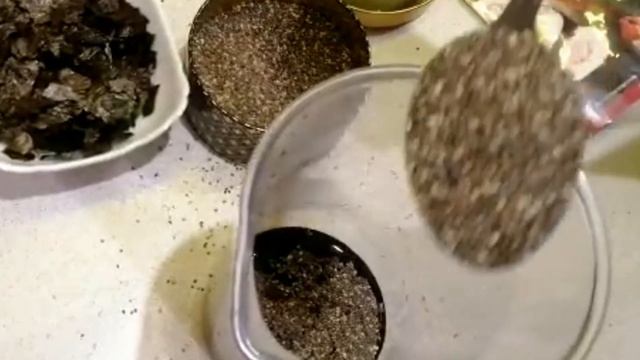 Сделали ??ЧЁРНУЮ ИКРУ?? в домашних условиях !!! смотреть онлайн