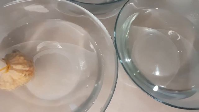 САЖАЕМ ПЕРЕЦ?? ЛУЧШИЙ СПОСОБ ДЛЯ ВСХОДОВ СЕМЯН ПЕРЦА!!!@user-dg7bv1nl5f смотреть онлайн