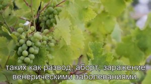 К чему снится Клубника? Толкование сна по сонникам Ванги и Миллера