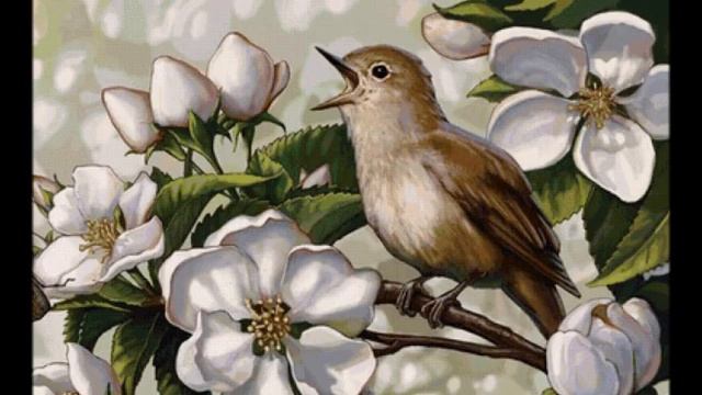 Михаил Рыба -  