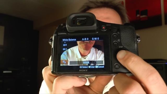 Sony CyberShot DSC-RX10 - Preview (English Version) смотреть онлайн