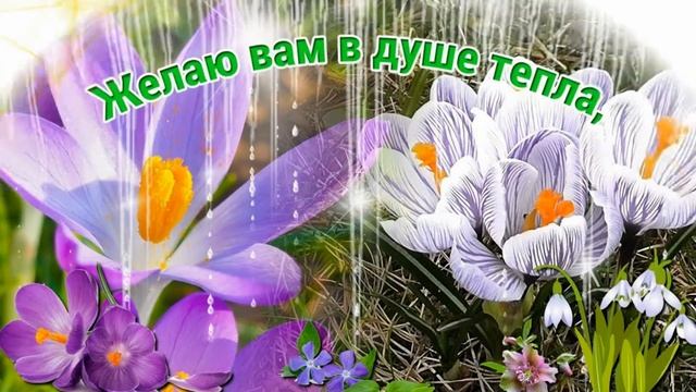 С ДНЕМ ВЕСЕННЕГО РАВНОДЕНСТВИЯ.ВИДЕО ПОЗДРАВЛЕНИЕ. ПРИМЕТЫ.