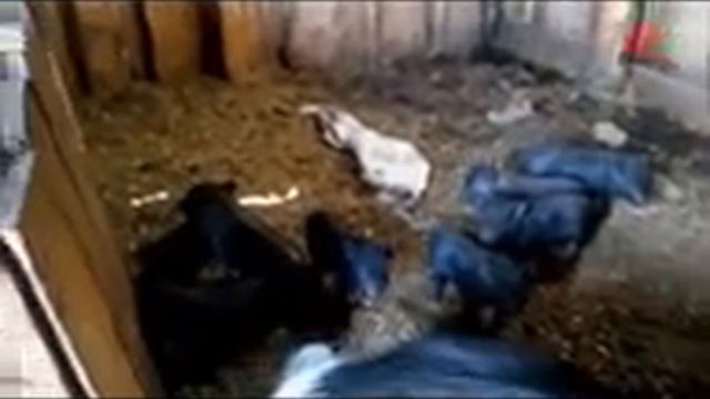 Соседний с Вадским район Нижегородской области смотреть онлайн