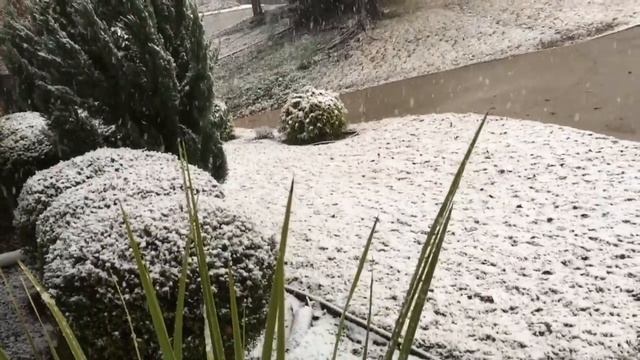 Пол Года Плохая Погода Или После Дождика В Четверг-идёт Снег