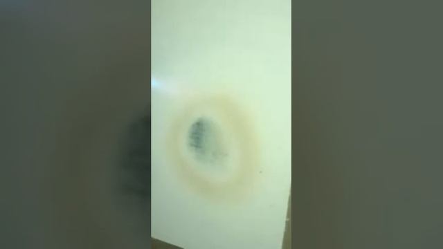 Огнеупорная краска FIRST NMT. Огневые испытания. смотреть онлайн