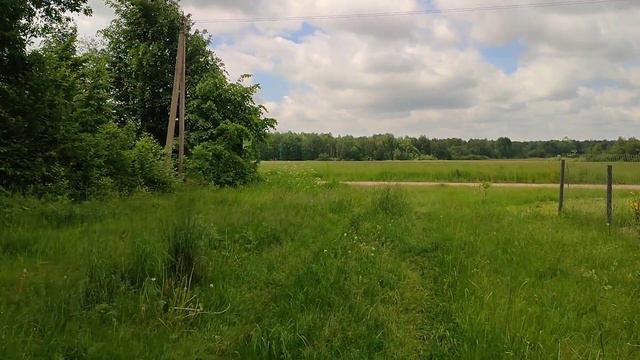 15 июня 2022 г. смотреть онлайн