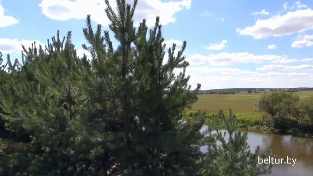 Туристический комплекс Высокий берег - территория и природа, Отдых в Беларуси смотреть онлайн