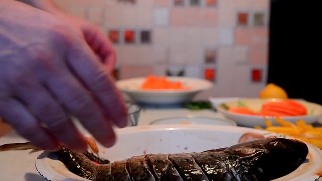 Зоопарк и Дикие Животные