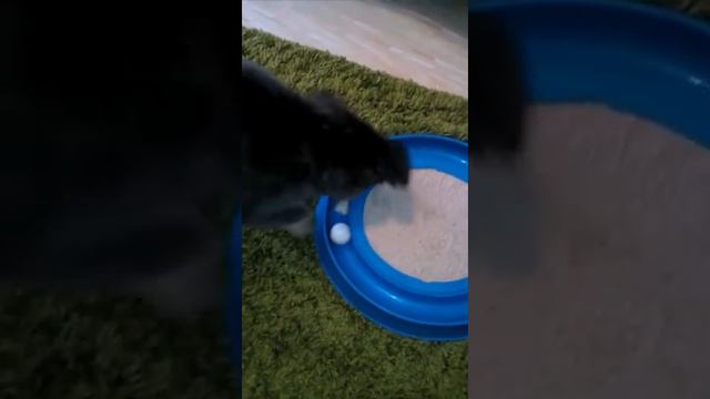 Ну ну давай! смотреть онлайн