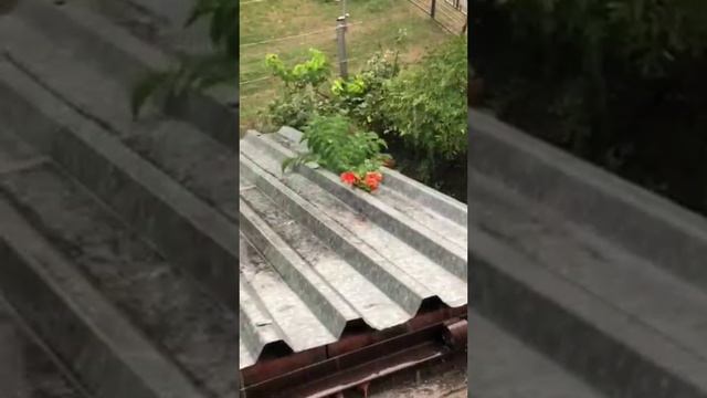 Погода после жары