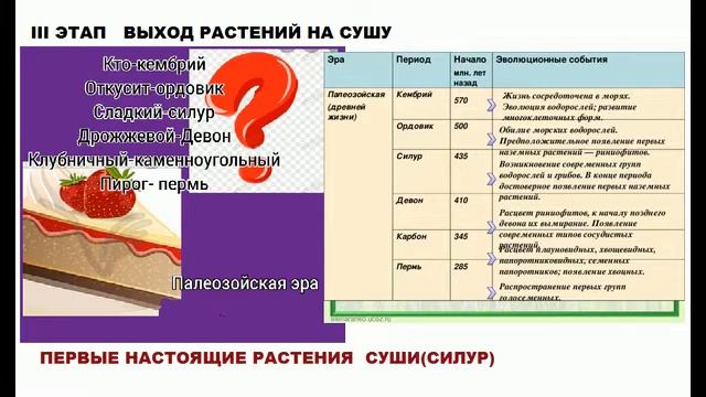 ЭВОЛЮЦИЯ РАСТЕНИЯ 2 смотреть онлайн